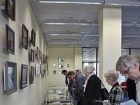 IMG 4631