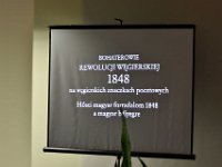 IMG 6503